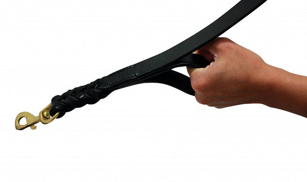 Angel Double Handle Braided Leather Dog Leash